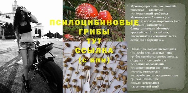 круглые Лагань