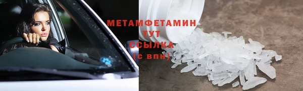 молекула духа Ладушкин