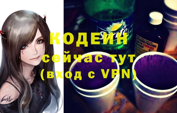 молекула духа Ладушкин
