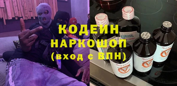 молекула духа Ладушкин