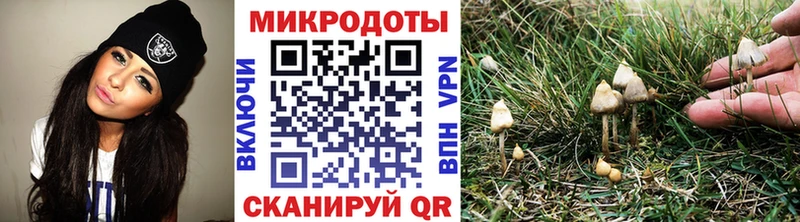 Галлюциногенные грибы мицелий  ссылка на мегу маркетплейс  Луховицы 