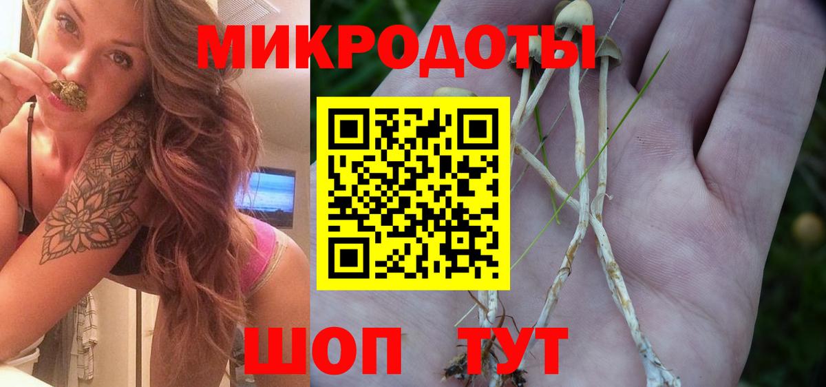 Псилоцибиновые грибы мицелий Луховицы